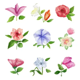 花卉