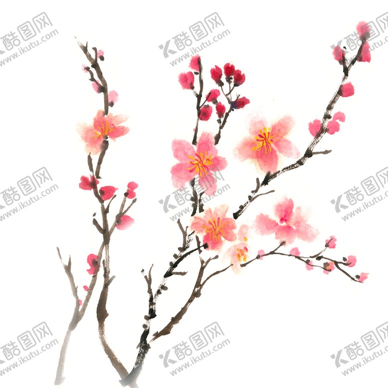 编号：92368110032232107625【酷图网】源文件下载-梅花素材 