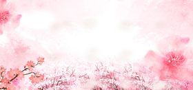 手绘樱花