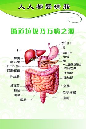 清新绿植