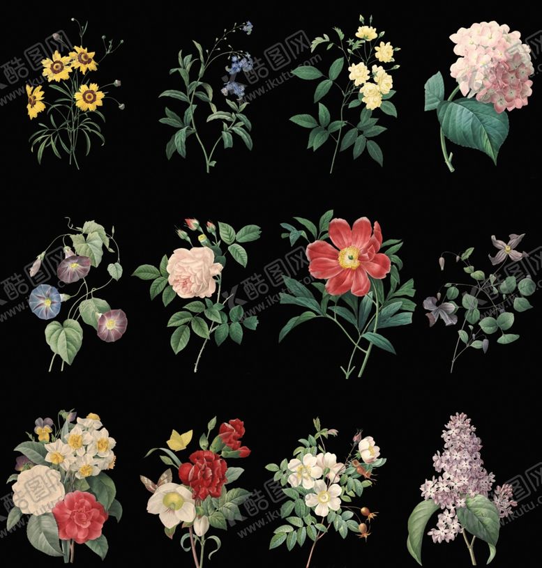 编号：47015009090811377941【酷图网】源文件下载-花朵插画鲜花