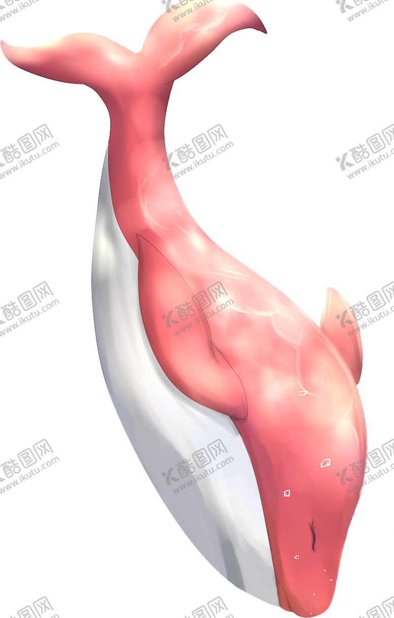 编号：97767610310417271117【酷图网】源文件下载-粉色海豚