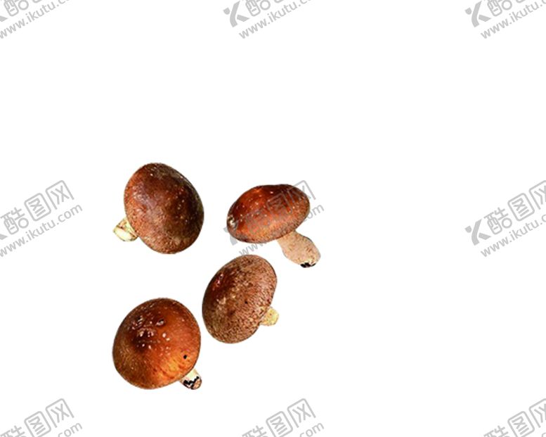 编号：22776310170922116776【酷图网】源文件下载-蔬菜素材分层