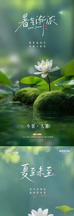 夏至小暑荷花清新海报