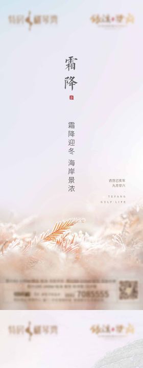 霜降节气移动端海报