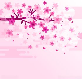 樱花