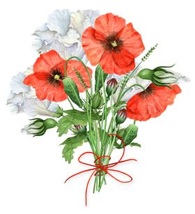 手绘花草牡丹花园元素素材