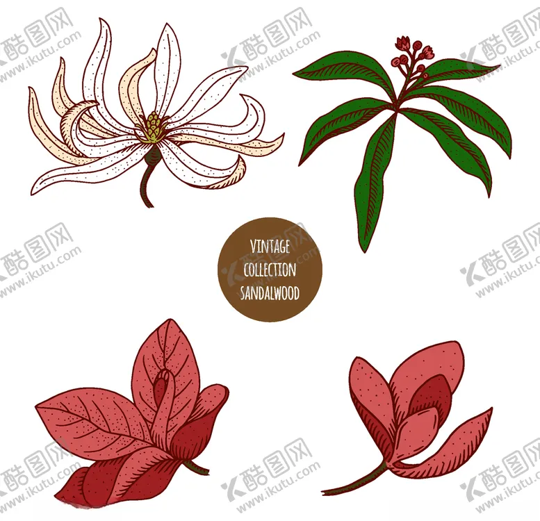 编号：94836906251622144459【酷图网】源文件下载-植物线稿