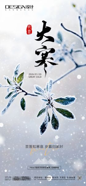 大寒节气海报新中式设计高级感企业海报
