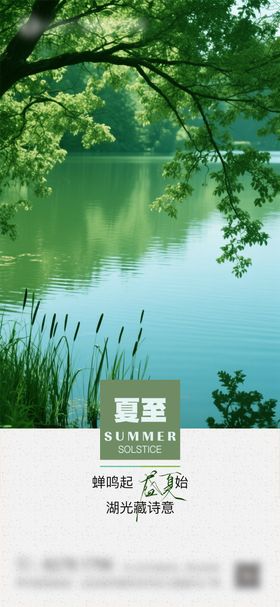 夏至二十四节气海报