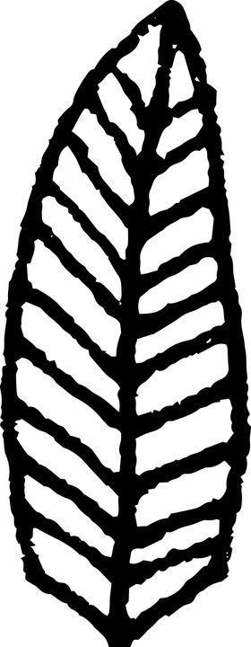 创意手绘羽毛