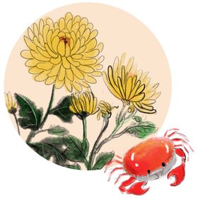 菊花素材
