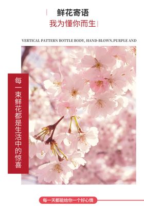 樱花鲜预订鲜批发鲜图片
