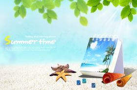 夏日沙滩贝壳