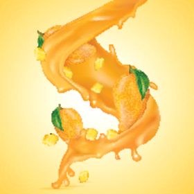 液体水果西瓜汁橙汁图片矢量图