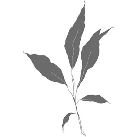 3D花纹手绘花