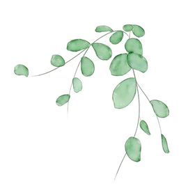 花草