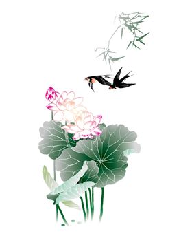 燕子素材