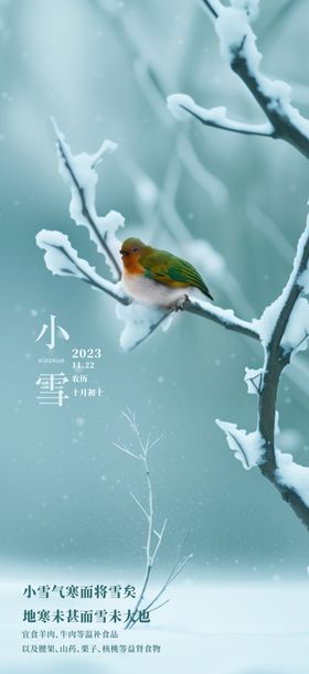 小雪