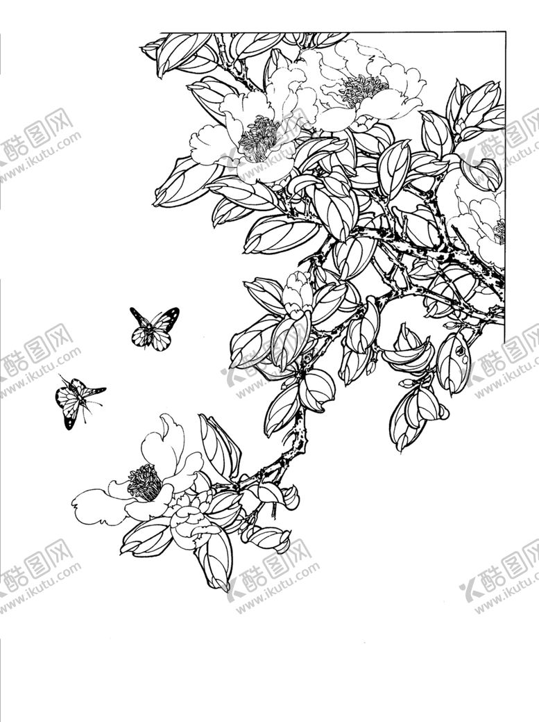 编号：41896609102005201947【酷图网】源文件下载-免扣图山茶花蝴蝶手绘图