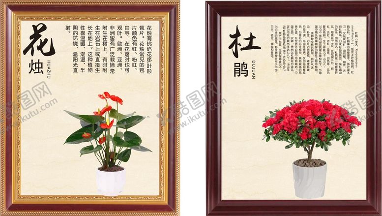 编号：25167409201625516870【酷图网】源文件下载-植物画框