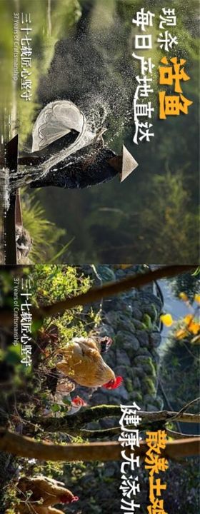 山野风自然风食材大众点评商户通五连图