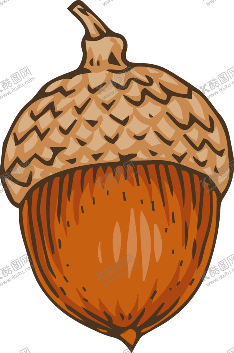 编号：47671201241113579173【酷图网】源文件下载-菌类插画图片 