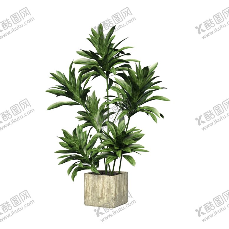 编号：13933601172021349219【酷图网】源文件下载-绿色植物