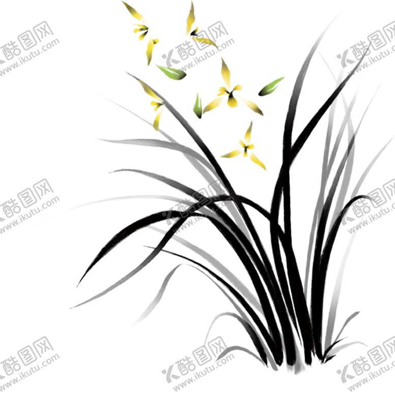 编号：27051801270646265374【酷图网】源文件下载-兰花