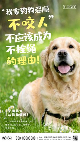 文明养犬公益海报