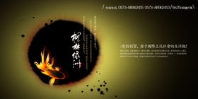 枫林绿洲