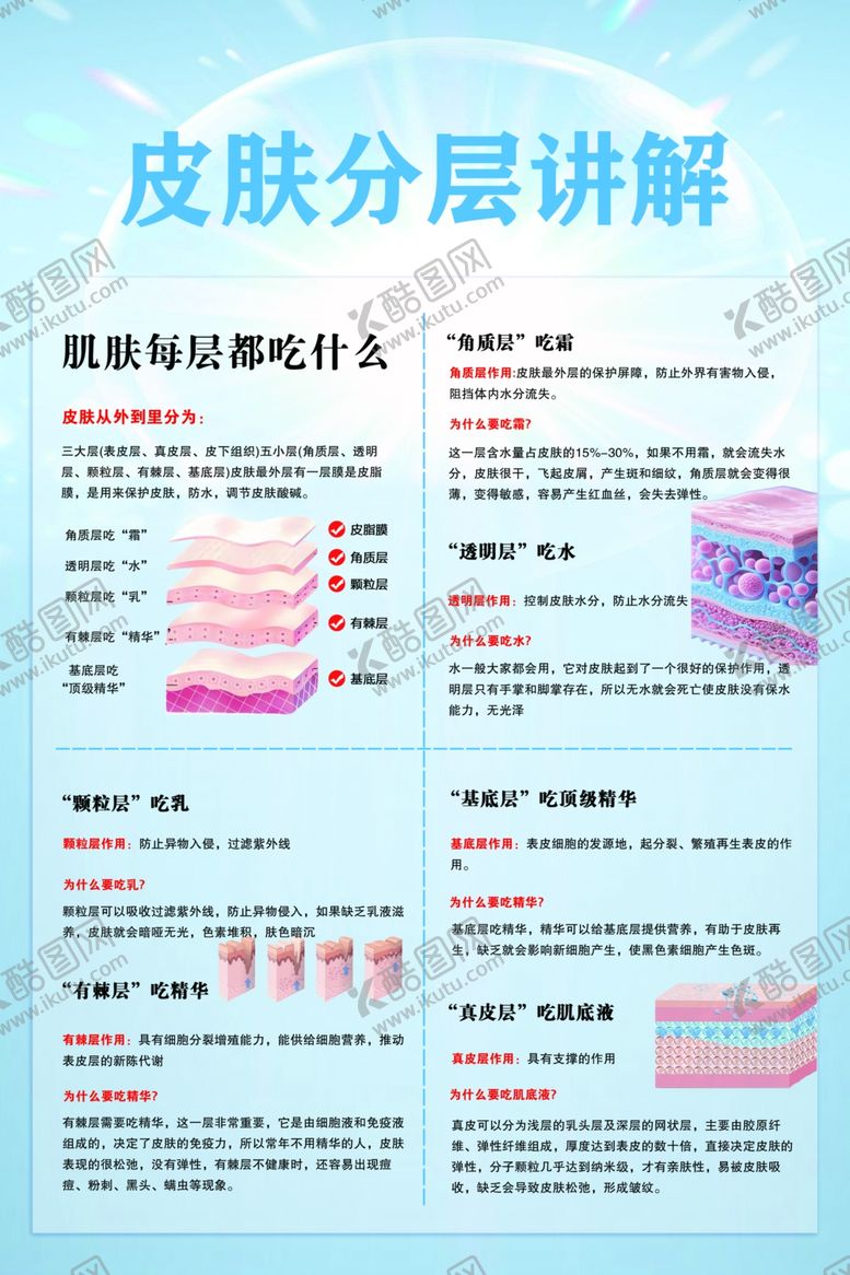 编号：37043204030948535830【酷图网】源文件下载-皮肤分层结构知识讲解