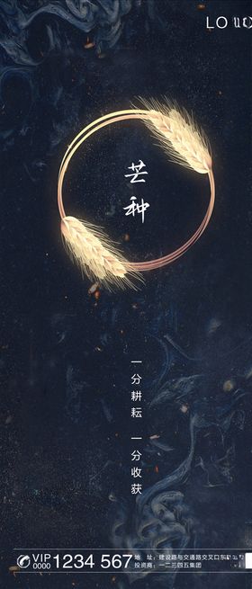 芒种海报