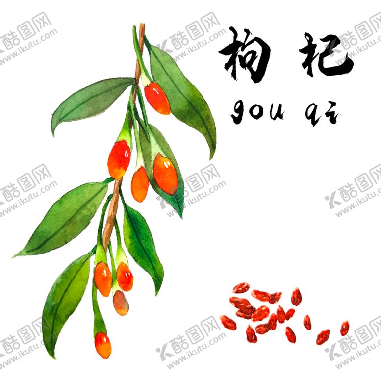 编号：10262107060612038936【酷图网】源文件下载-手绘枸杞