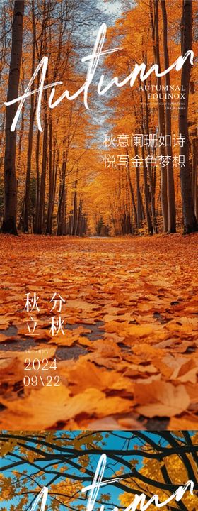 秋分海报立秋立秋节气