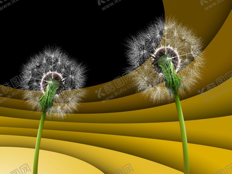 编号：17352209200738237145【酷图网】源文件下载-背景墙