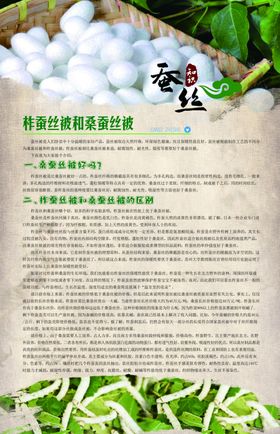 蚕丝知识