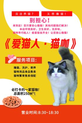 猫咪馆  单页