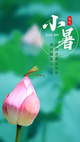 小暑朋友圈地产微信海报