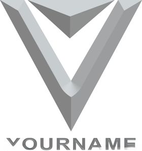 V标志