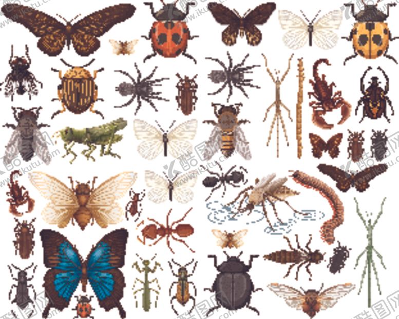 编号：36894309262014505372【酷图网】源文件下载-蝴蝶昆虫动物