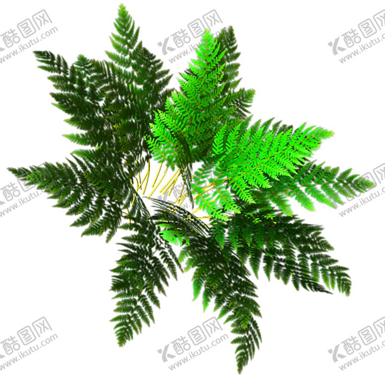 编号：80849906160149127882【酷图网】源文件下载-花素材