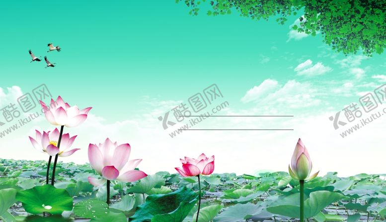 编号：47754710230452408962【酷图网】源文件下载-映日荷花别样红