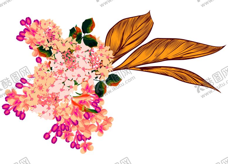 编号：92140409250246567914【酷图网】源文件下载-花素材