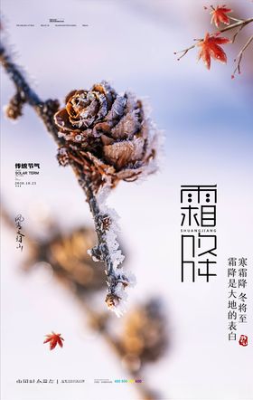 霜降海报