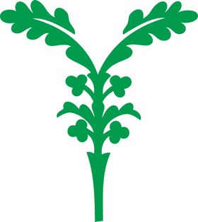 花纹图案