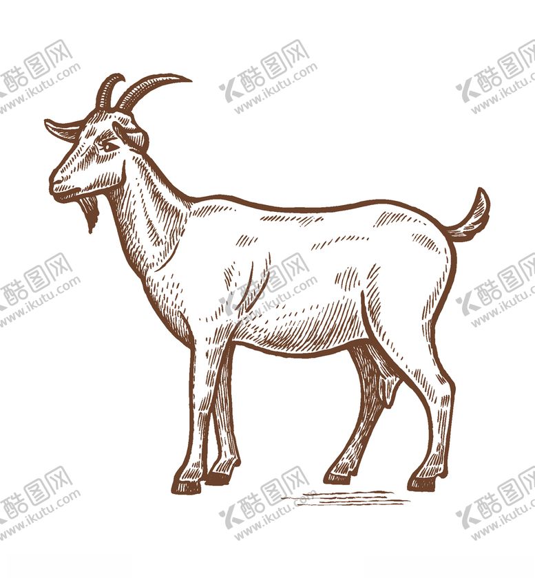 编号：44283705100721512424【酷图网】源文件下载-卡通羊