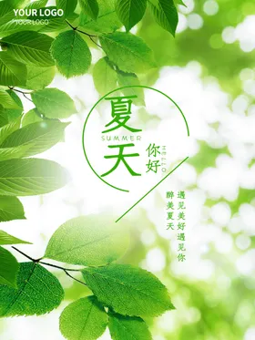 夏天你好设计日海报玩水吊旗