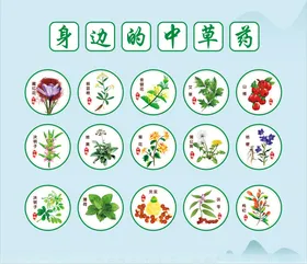 身边的中草药图示