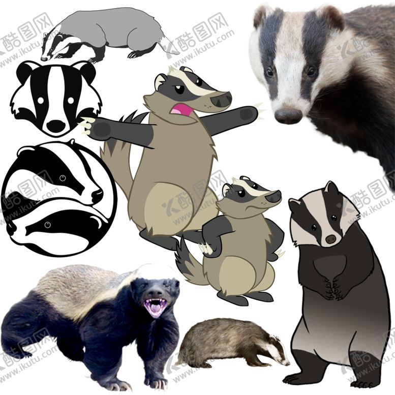 编号：30408710161346022474【酷图网】源文件下载-貛png免扣高清素材